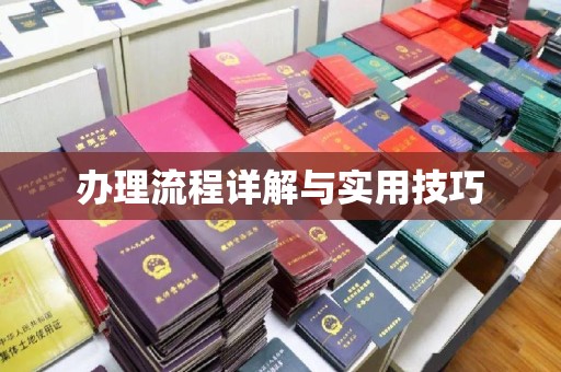 芮城办理流程详解与实用技巧