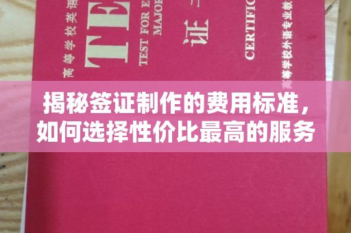 芮城揭秘签证制作的费用标准，如何选择性价比最高的服务？